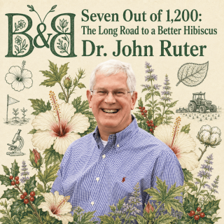 Seven Out of 1,200: The Long Road to a Better Hibiscus with Dr. John Ruter