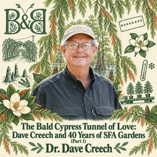 The Bald Cypress Tunnel of Love: Dave Creech and 40 Years of SFA Gardens (Part 1)