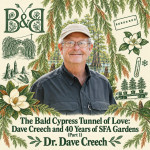 The Bald Cypress Tunnel of Love: Dave Creech and 40 Years of SFA Gardens (Part 1)