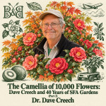 The Camellia of 10,000 Flowers: Dave Creech and 40 Years of SFA Gardens (Part 2)